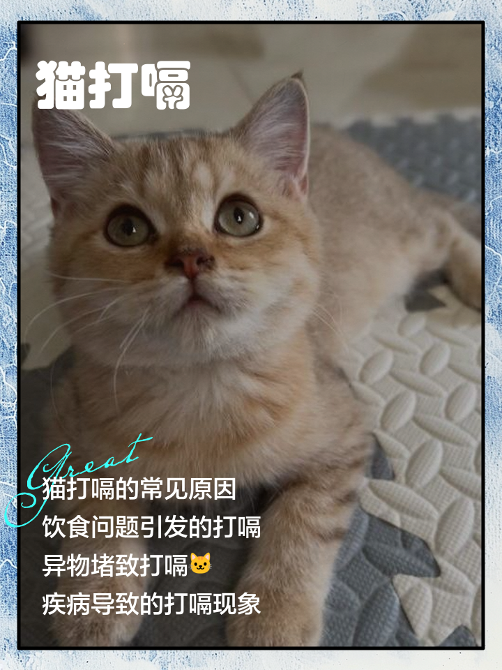 猫咪打嗝还抽搐一下是怎么回事(猫咪打嗝一样一抽一抽,无精打采) 猫咪打嗝还抽搐一下是怎么回事(猫咪打嗝一样一抽一抽,无精打采)