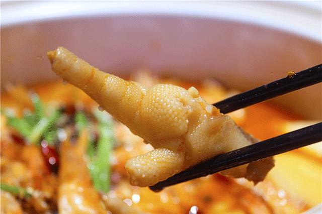 鸡有几个爪子(鸡有几个爪子指头) 鸡有几个爪子(鸡有几个爪子指头)