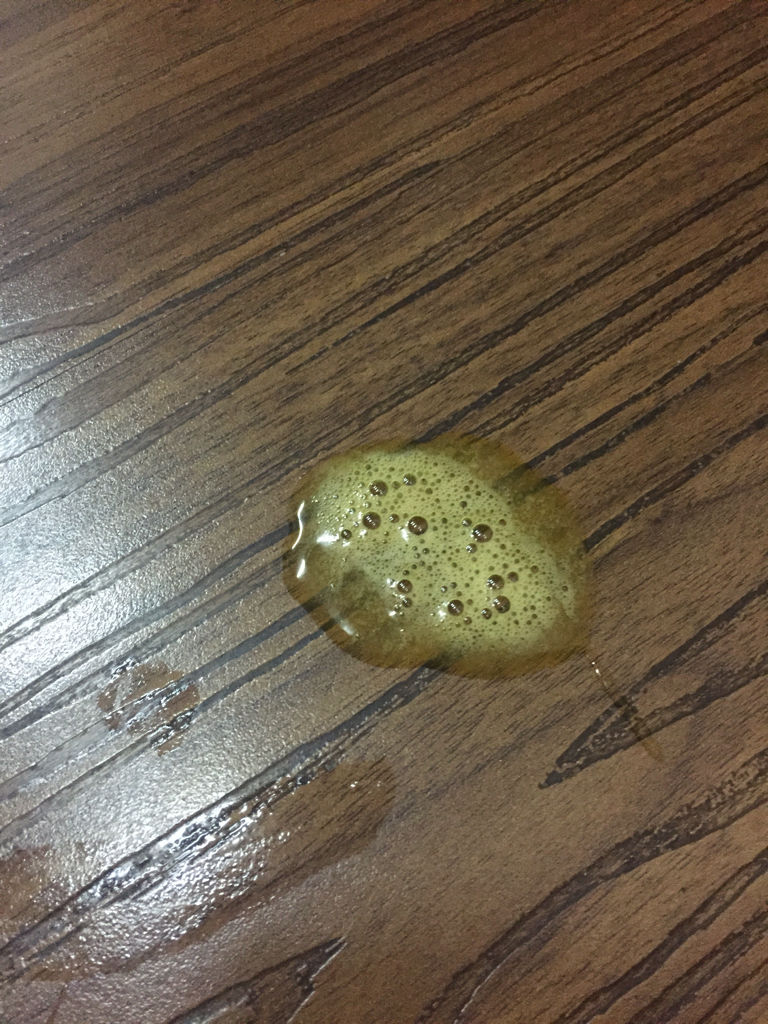 狗呕吐白色泡沫(狗呕吐白色泡沫粘液,还不吃东西) 狗呕吐白色泡沫(狗呕吐白色泡沫粘液,还不吃东西)
