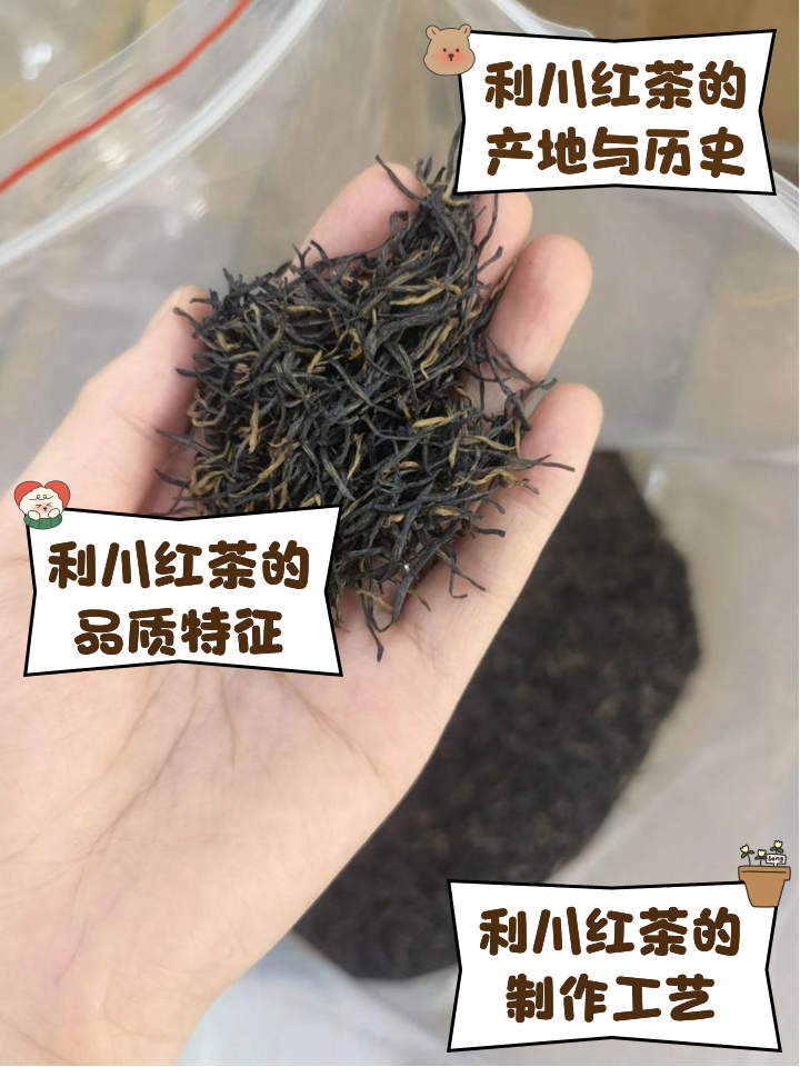 野生红茶的作用与用途(野生红茶的作用与用途是什么) 野生红茶的作用与用途(野生红茶的作用与用途是什么)