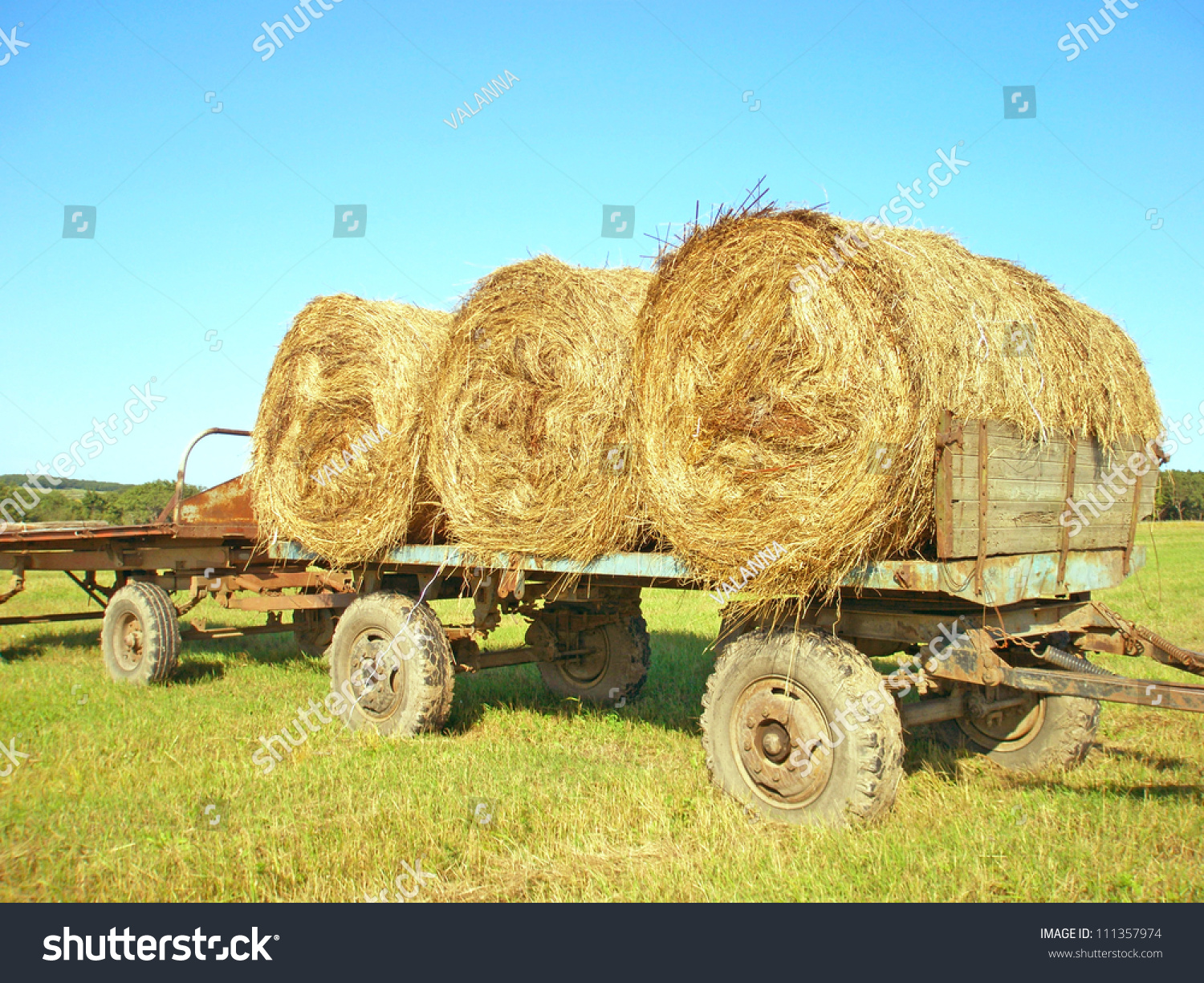 cart(cartt治疗能治疗哪些癌症)