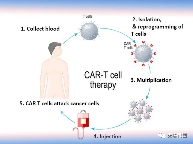 cart(cartt治疗能治疗哪些癌症)