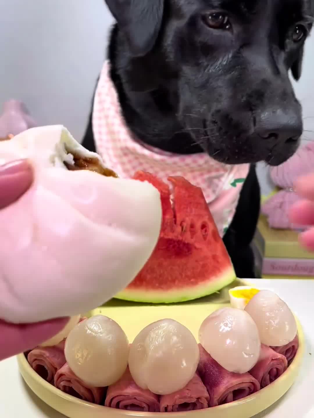荔枝狗狗能吃吗(荔枝狗狗能吃吗怎么吃) 荔枝狗狗能吃吗(荔枝狗狗能吃吗怎么吃)
