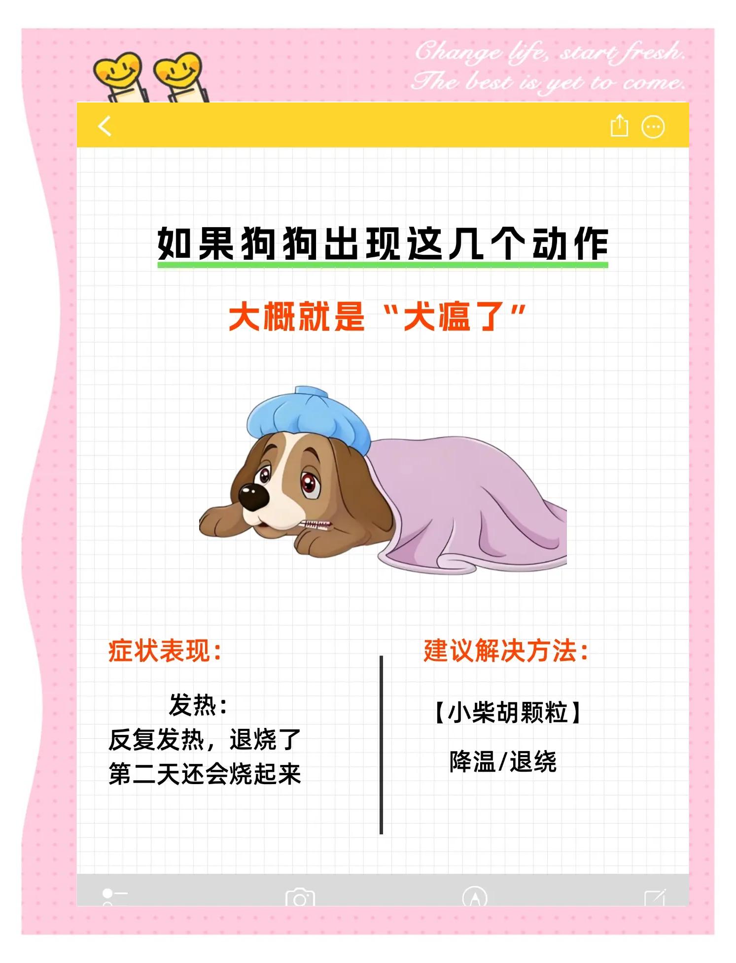 狗打完疫苗后的不良反应(狗狗打完疫苗后有什么症状) 狗打完疫苗后的不良反应(狗狗打完疫苗后有什么症状)