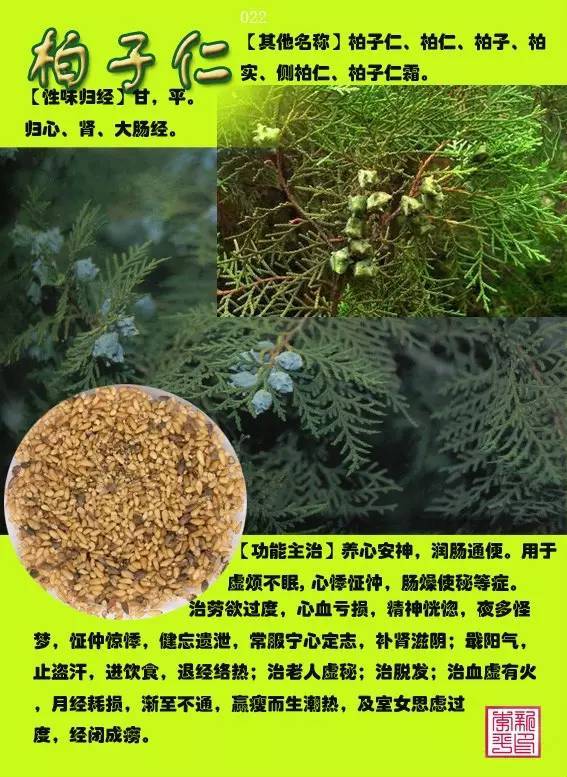 中草药6000种图解(12000种中草药大全)