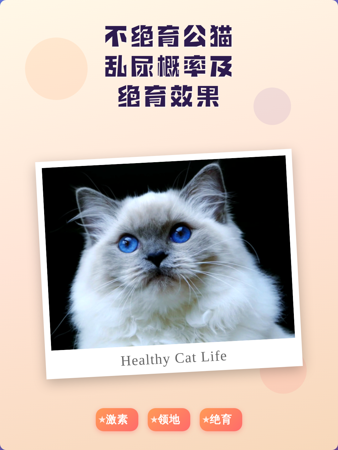 公猫绝育后还会乱尿吗(公猫一般建不建议做绝育) 公猫绝育后还会乱尿吗(公猫一般建不建议做绝育)
