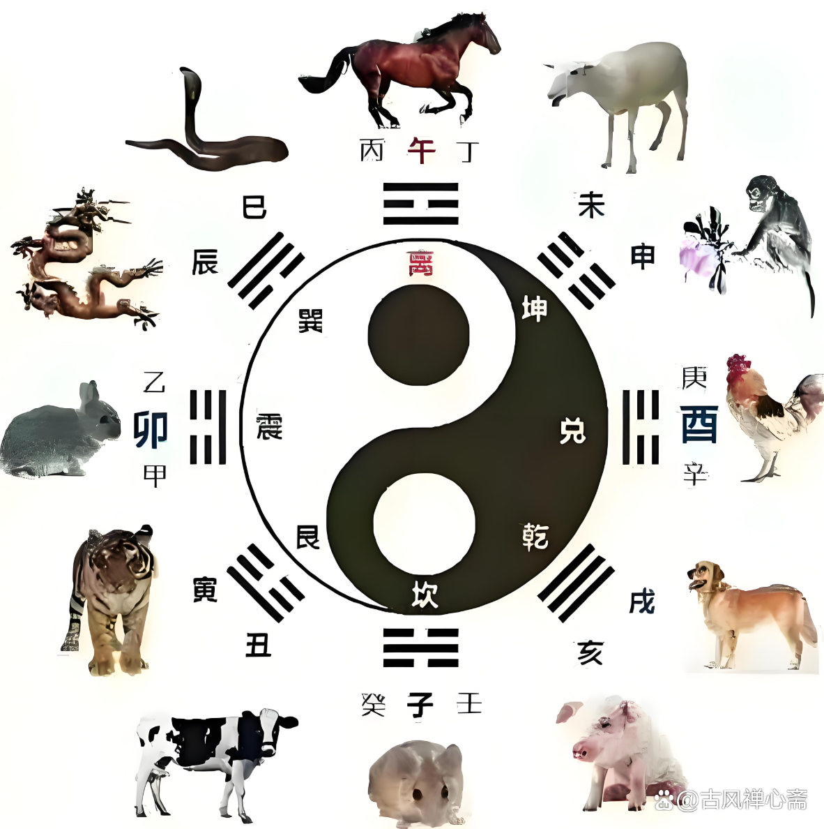 马猴属相合不合(猪和猴属相合不合婚姻) 马猴属相合不合(猪和猴属相合不合婚姻)
