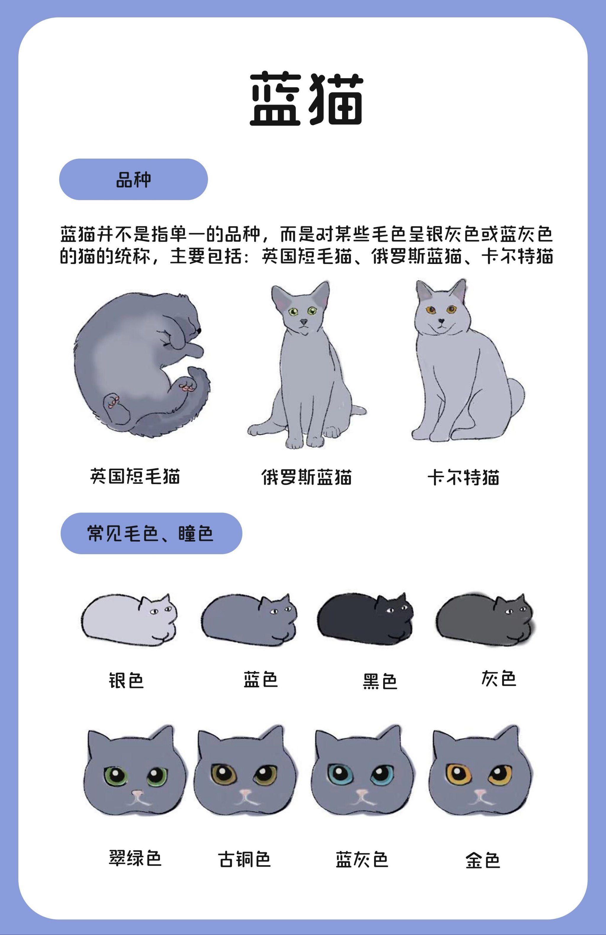 刚睁眼的小猫怎么喂养(刚睁眼的小猫怎么喂养只有牛奶怎么办) 刚睁眼的小猫怎么喂养(刚睁眼的小猫怎么喂养只有牛奶怎么办)