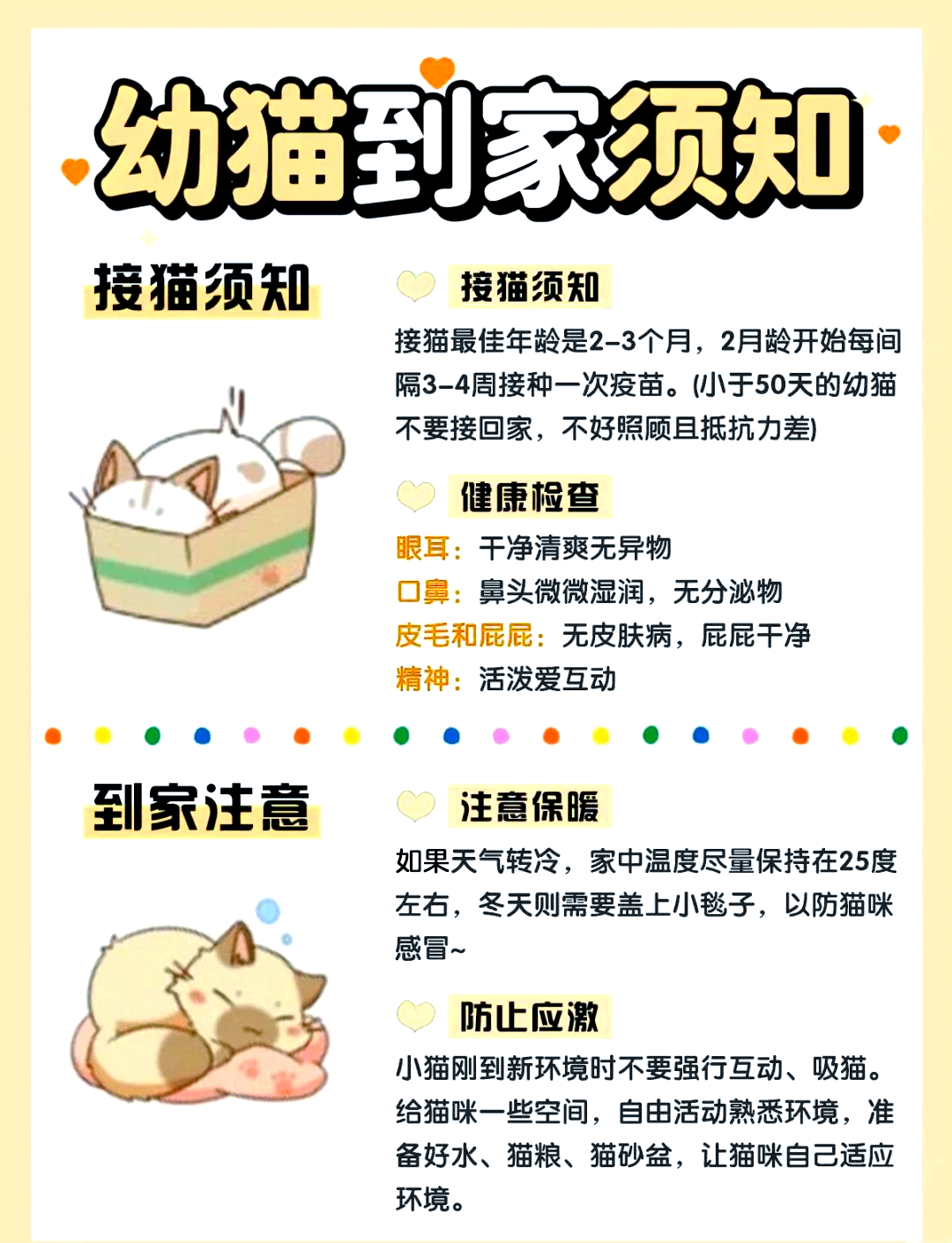 猫咪要打什么疫苗(猫咪打什么疫苗咬人,人不用打针)