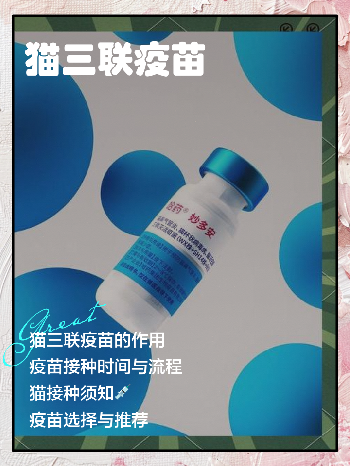 猫咪要打什么疫苗(猫咪打什么疫苗咬人,人不用打针)