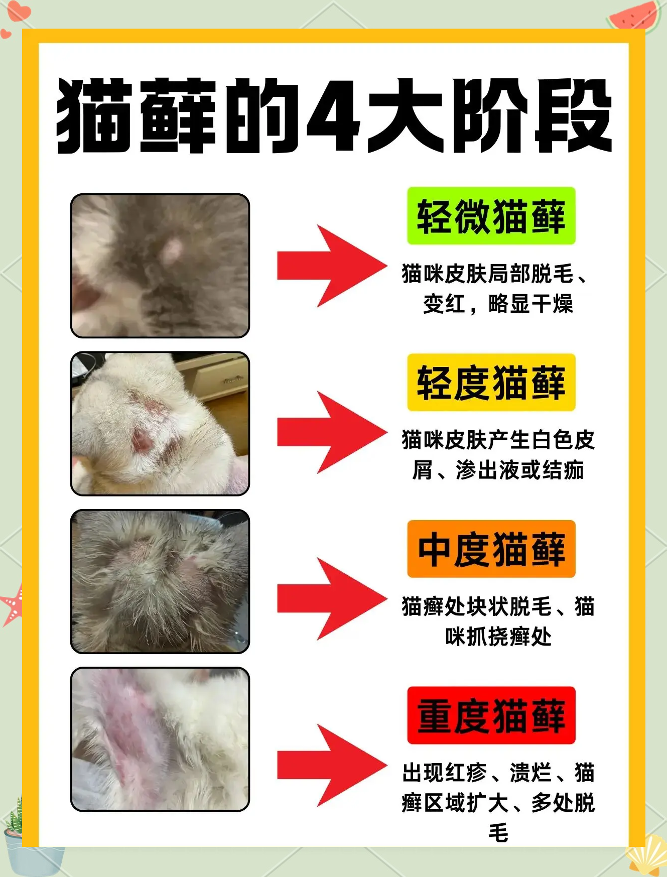 猫过敏的症状怎么消除(猫过敏有什么补救方法吗) 猫过敏的症状怎么消除(猫过敏有什么补救方法吗)