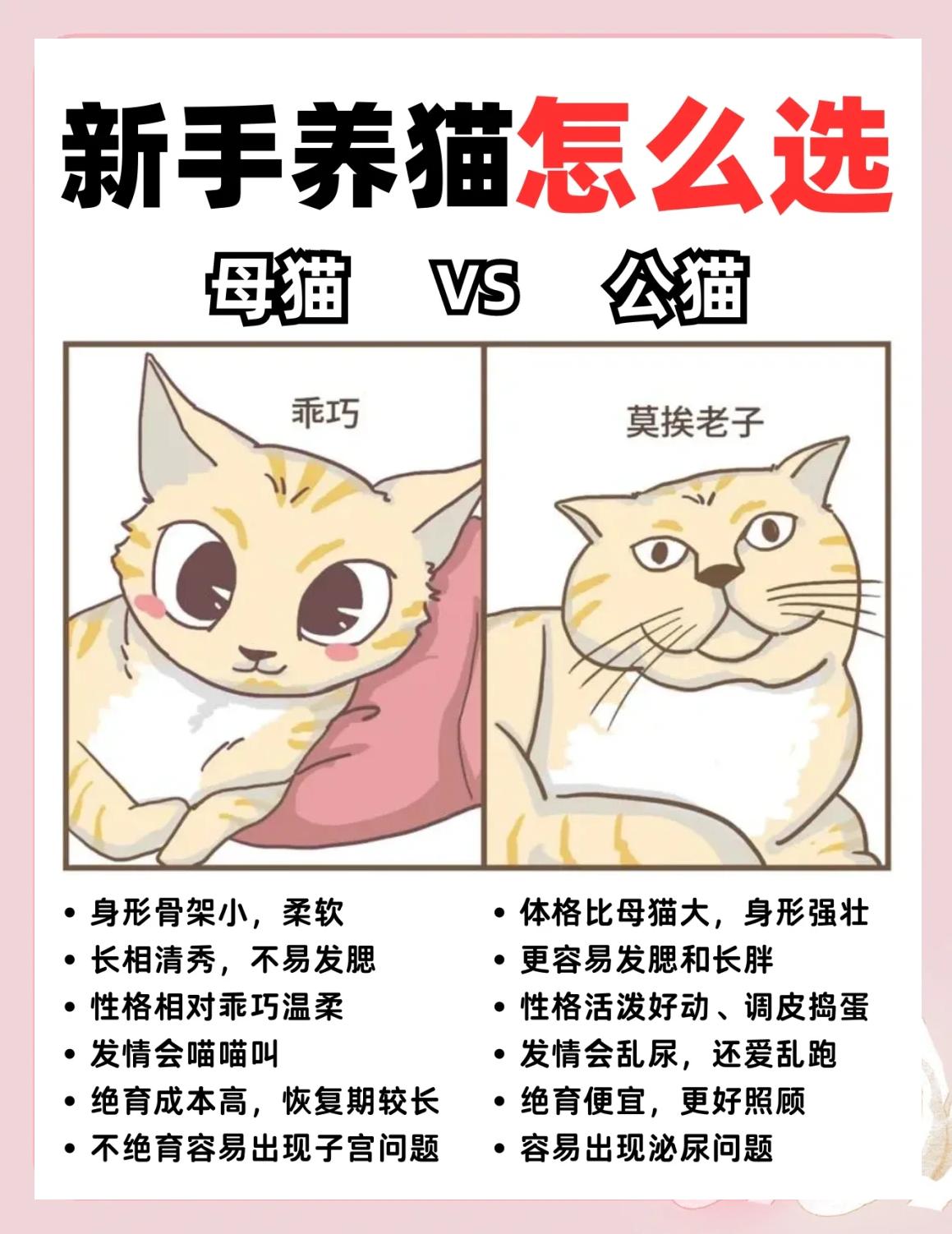 怎么确定公猫发完情了(公猫会把女性人类当成自己配偶吗) 怎么确定公猫发完情了(公猫会把女性人类当成自己配偶吗)