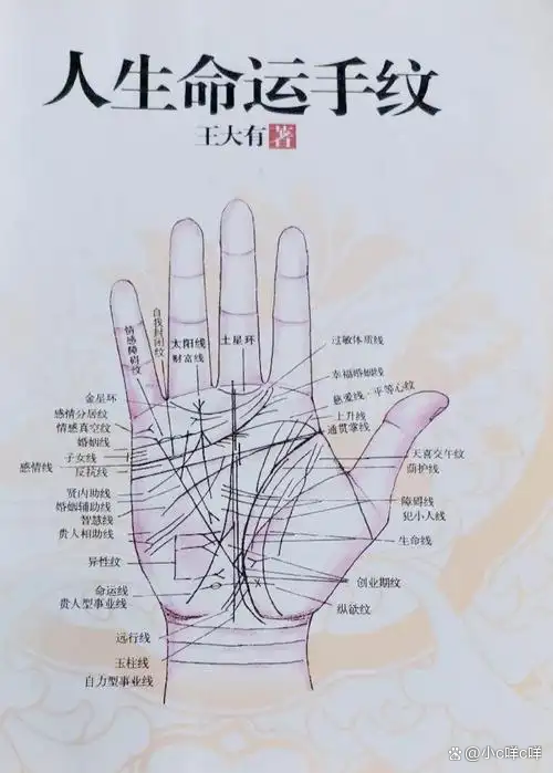带天命的人手相有灵气(带天命的人手相有灵气吗) 带天命的人手相有灵气(带天命的人手相有灵气吗)