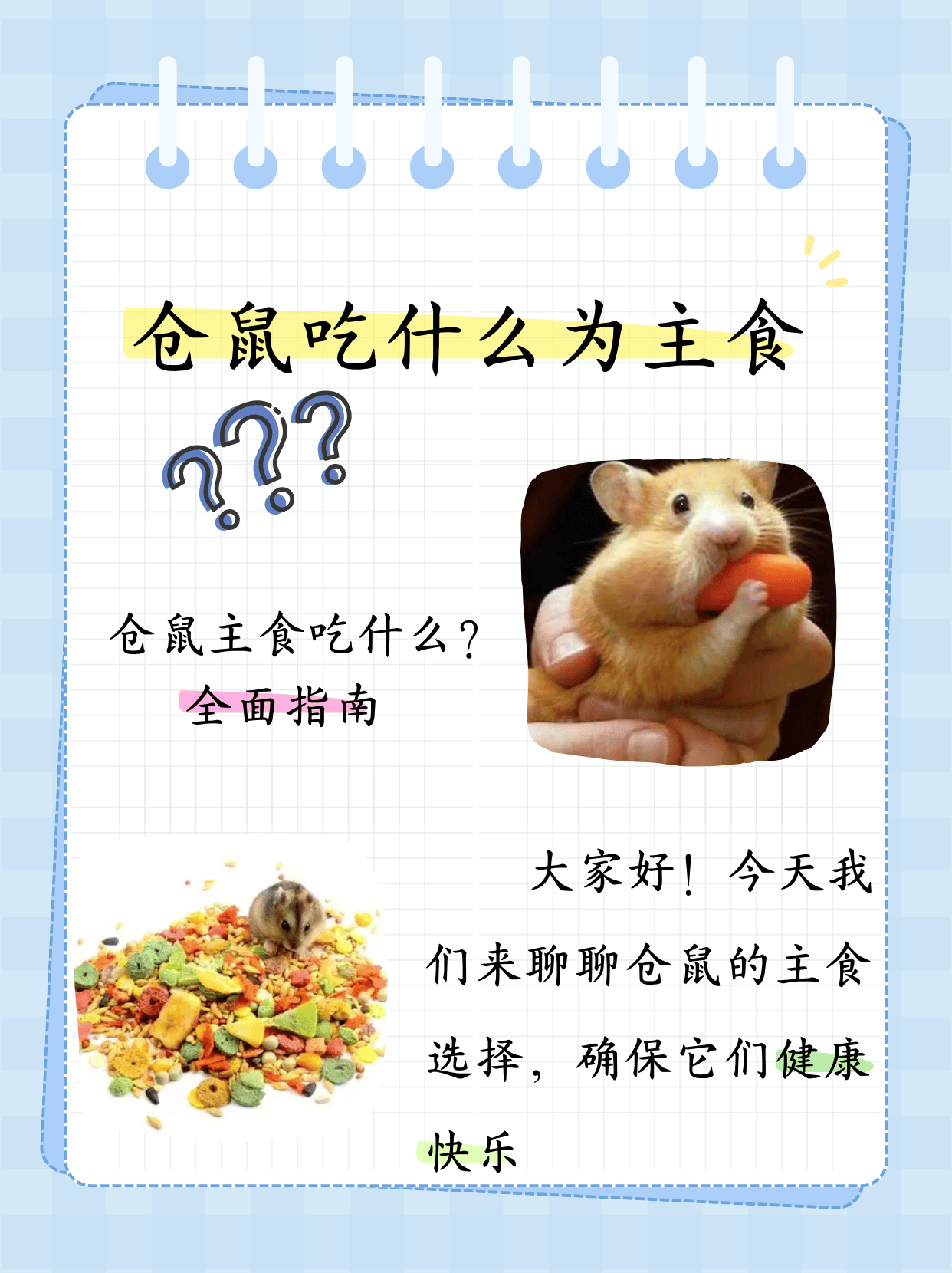 仓鼠可以吃西红柿吗(仓鼠可以吃西红柿吗一次吃多少) 仓鼠可以吃西红柿吗(仓鼠可以吃西红柿吗一次吃多少)