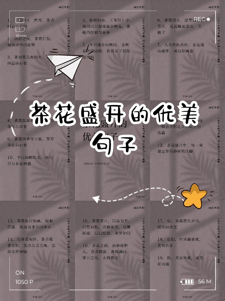 满园花开唯美句子(赞美满园花开的美句) 满园花开唯美句子(赞美满园花开的美句)
