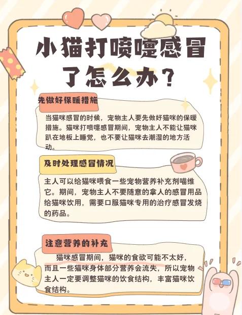 小猫咪感冒了打喷嚏怎么办(小猫咪感冒了打喷嚏怎么办吃什么药) 小猫咪感冒了打喷嚏怎么办(小猫咪感冒了打喷嚏怎么办吃什么药)