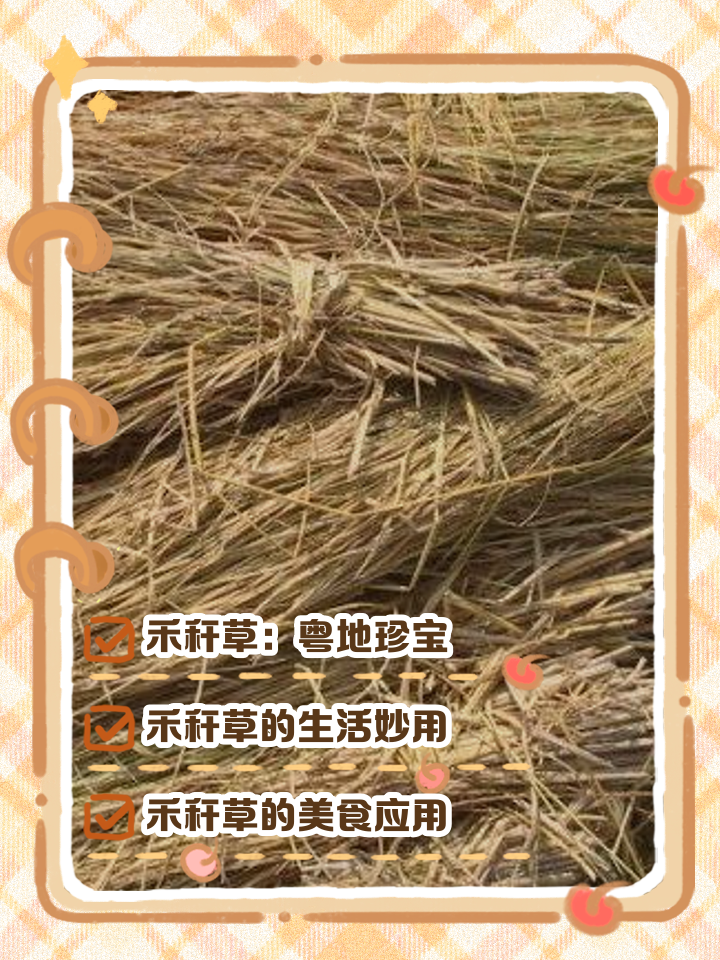 禾的寓意和象征(禾的寓意和象征意义是什么) 禾的寓意和象征(禾的寓意和象征意义是什么)