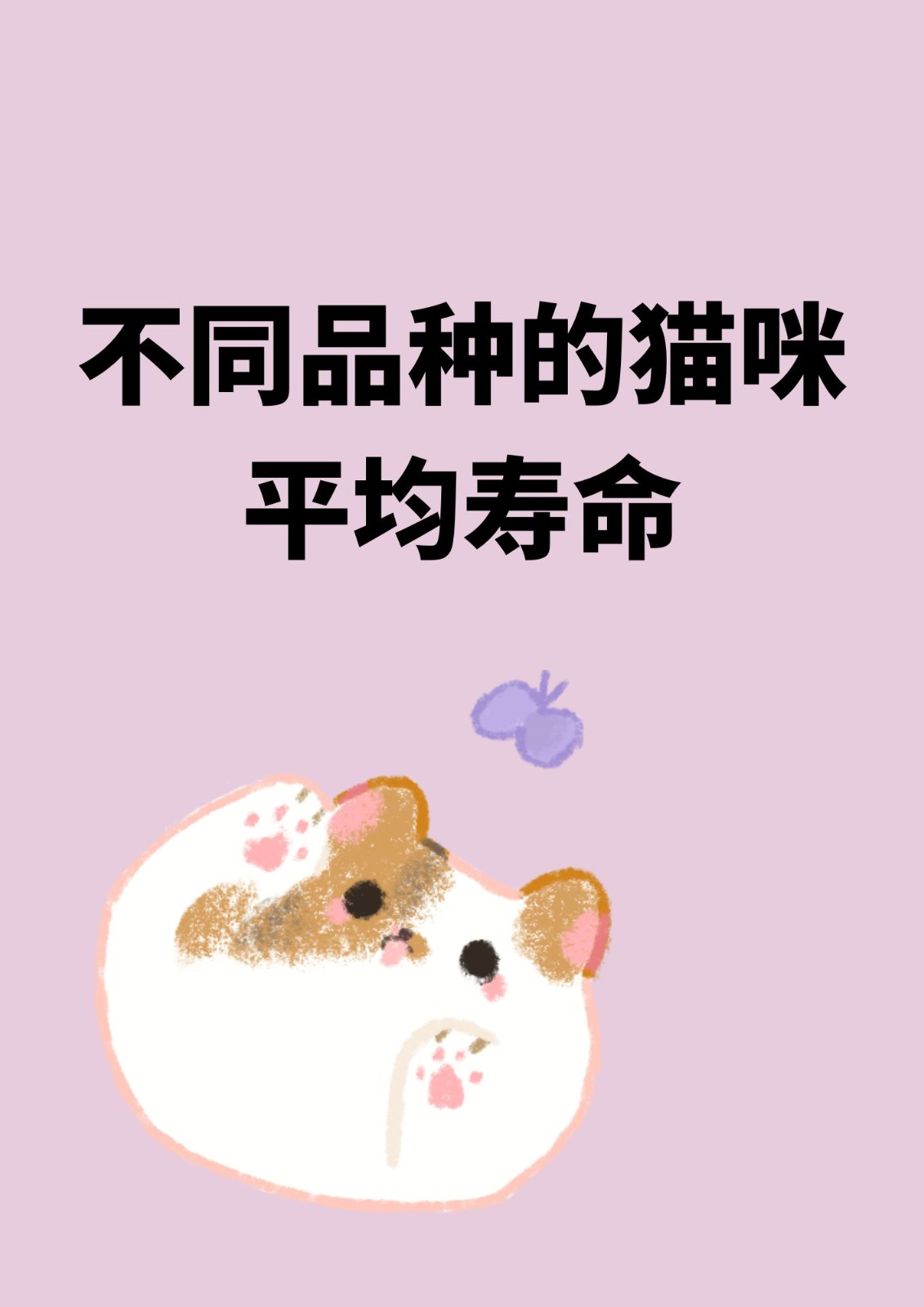 猫的平均寿命(大熊猫的平均寿命) 猫的平均寿命(大熊猫的平均寿命)