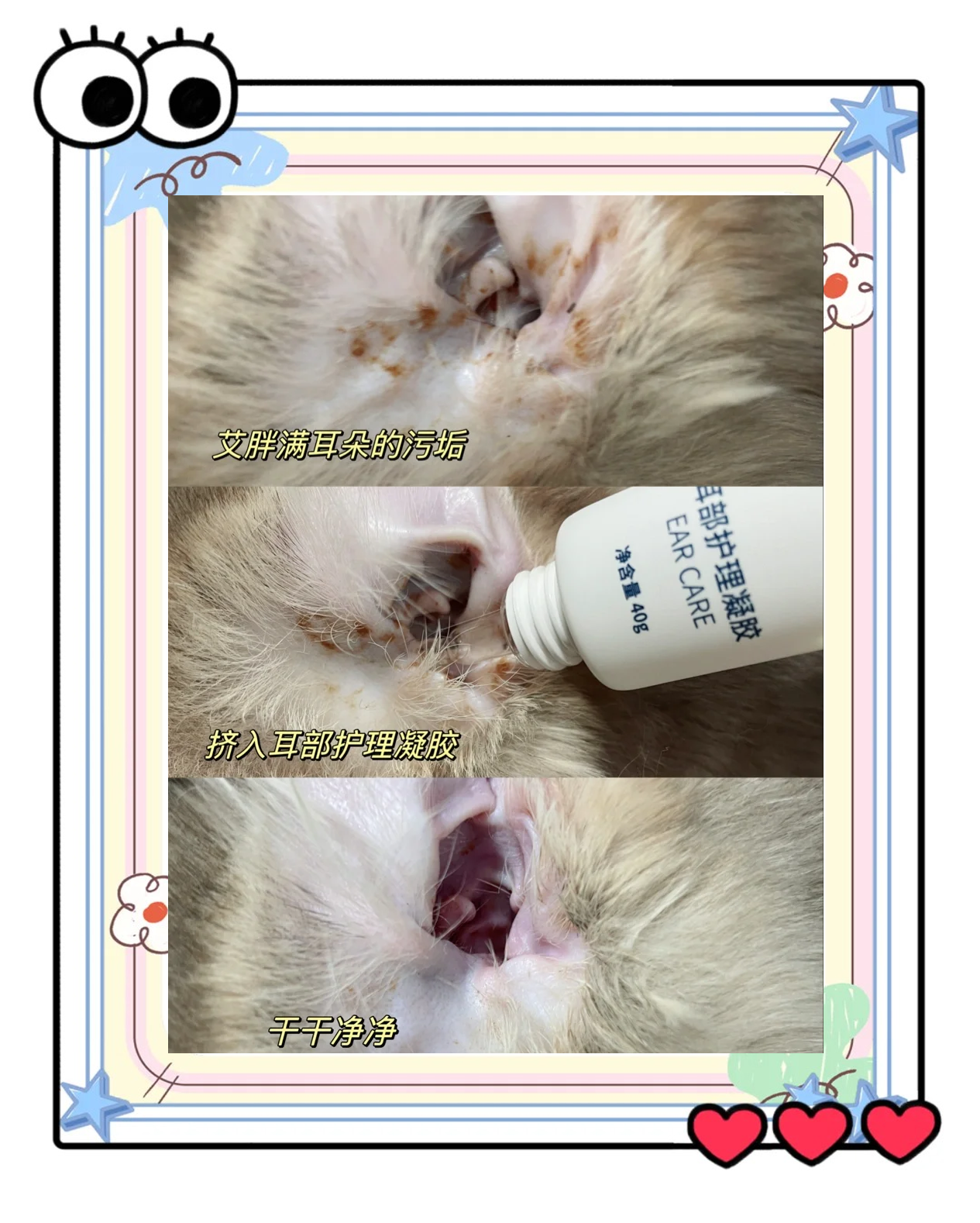 猫咪耳朵痒老是挠用什么药(猫咪耳螨用什么药便宜又好用) 猫咪耳朵痒老是挠用什么药(猫咪耳螨用什么药便宜又好用)