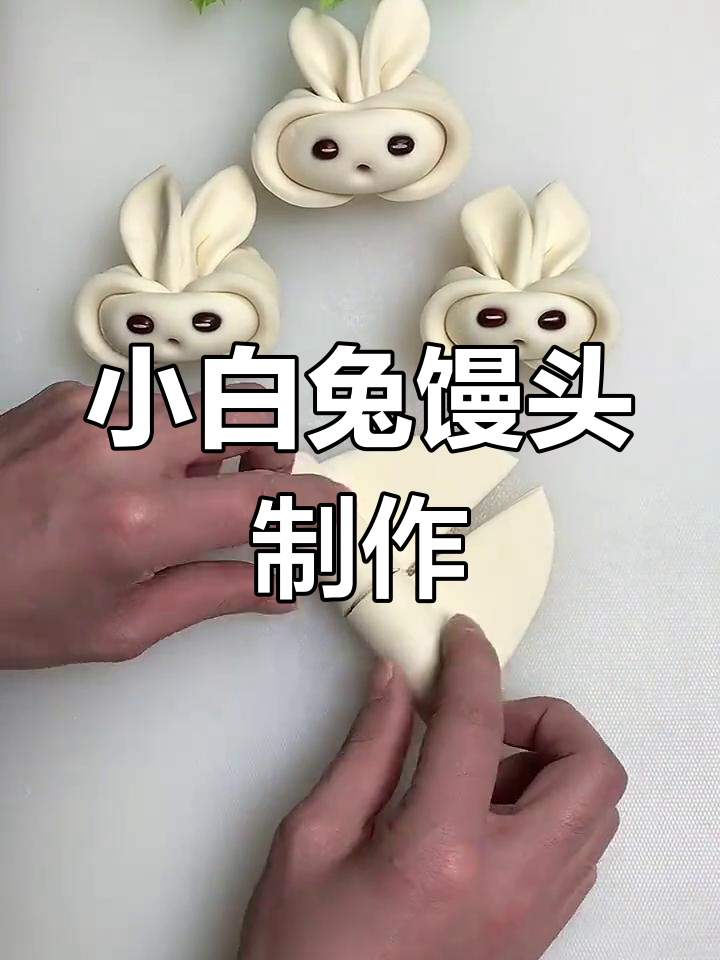 兔子可以吃馒头吗(兔子可以吃馒头吗为什么) 兔子可以吃馒头吗(兔子可以吃馒头吗为什么)