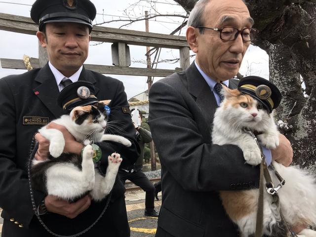 猫可以带上火车吗(猫可以带上火车吗需要什么手续) 猫可以带上火车吗(猫可以带上火车吗需要什么手续)
