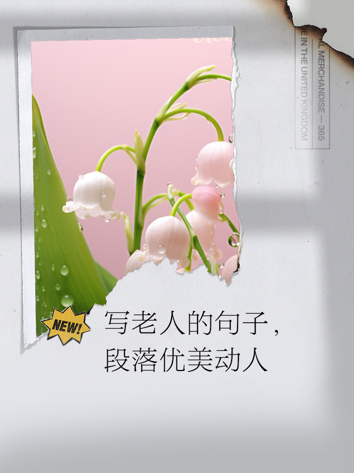 形容老年人风采的句子(形容老年人风采的句子四字)