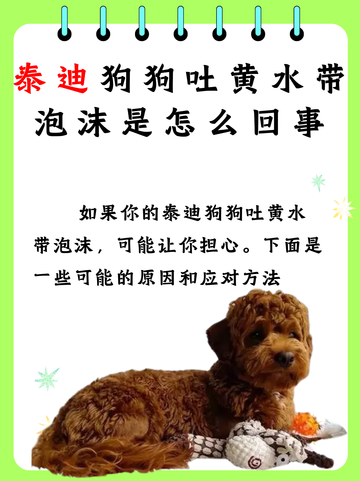小狗吐黄水(小狗吐黄水带沫用什么药治疗) 小狗吐黄水(小狗吐黄水带沫用什么药治疗)