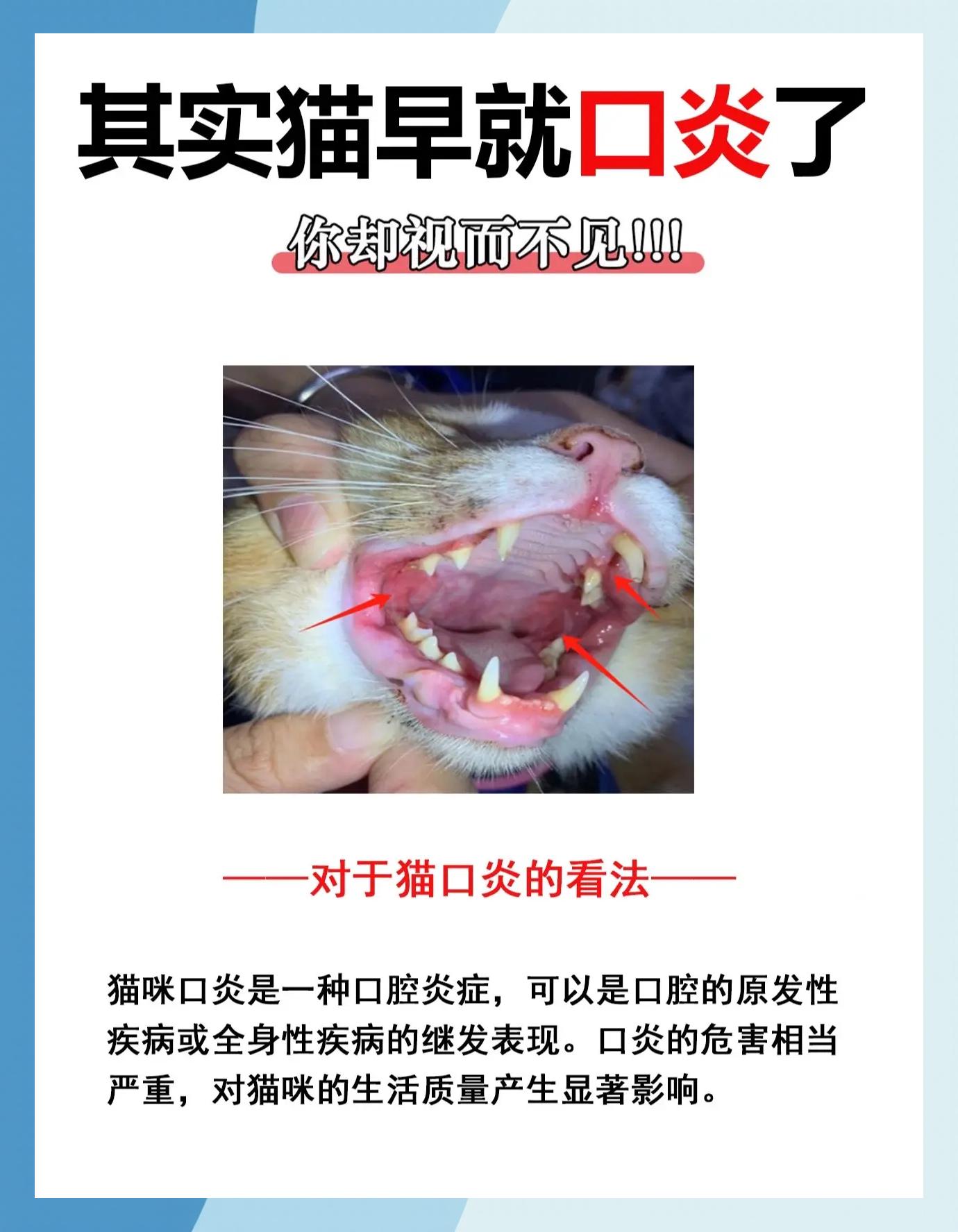 猫咪上火的症状(猫咪上火的症状眼睛图片) 猫咪上火的症状(猫咪上火的症状眼睛图片)