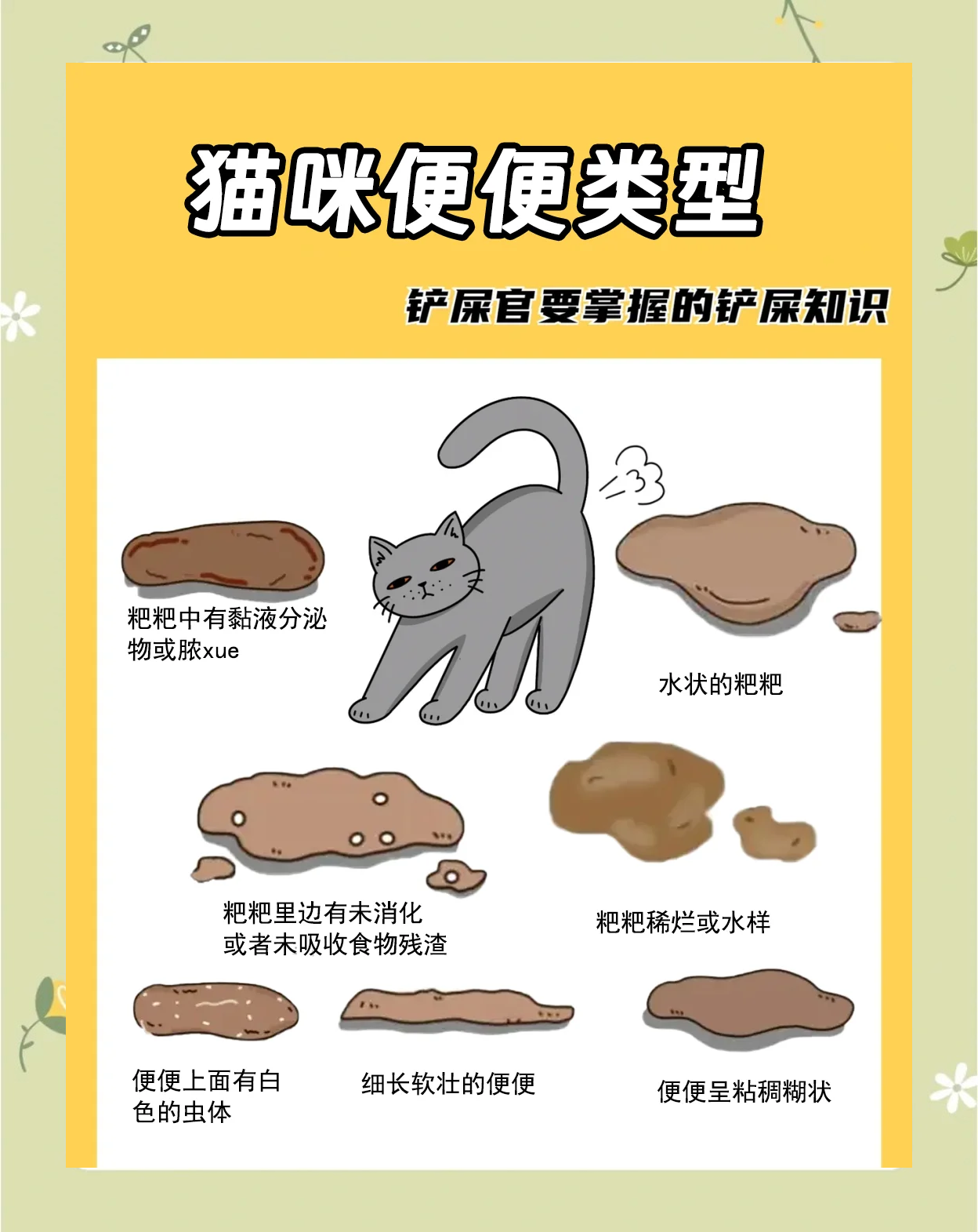 小猫便血是什么原因(猫便血吃什么药效果好) 小猫便血是什么原因(猫便血吃什么药效果好)