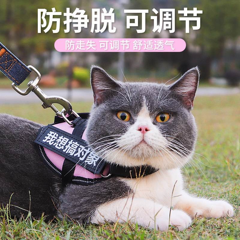 猫咪牵引绳怎么套(猫咪牵引绳怎么套视频) 猫咪牵引绳怎么套(猫咪牵引绳怎么套视频)