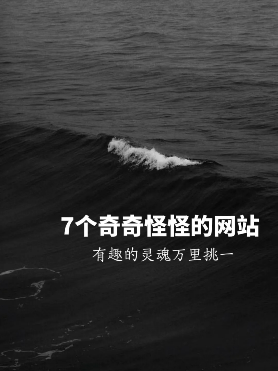哈哈网站(哈哈app官网下载安装)