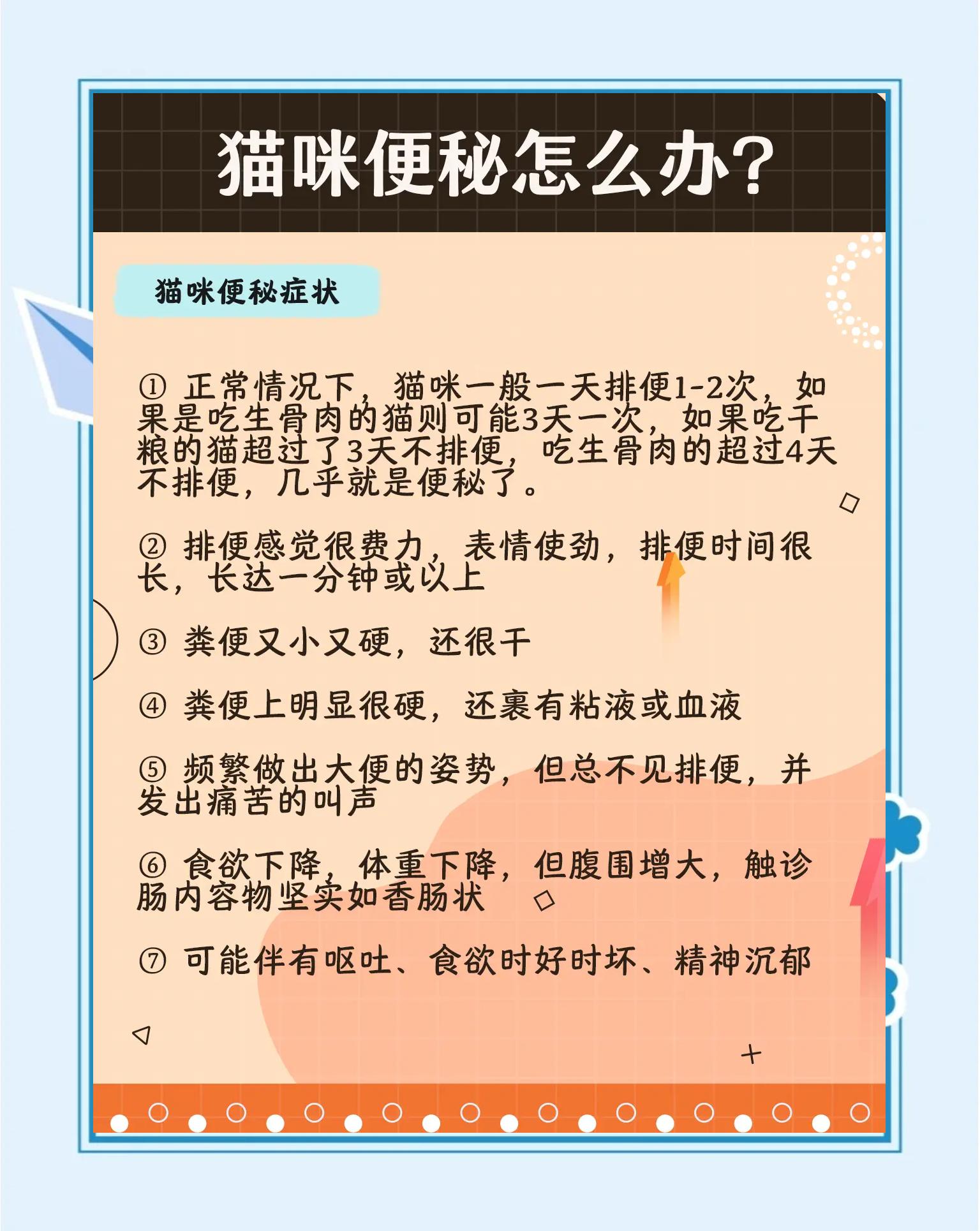两个月的小猫拉稀怎么办(两个月大的小猫拉稀是什么原因) 两个月的小猫拉稀怎么办(两个月大的小猫拉稀是什么原因)