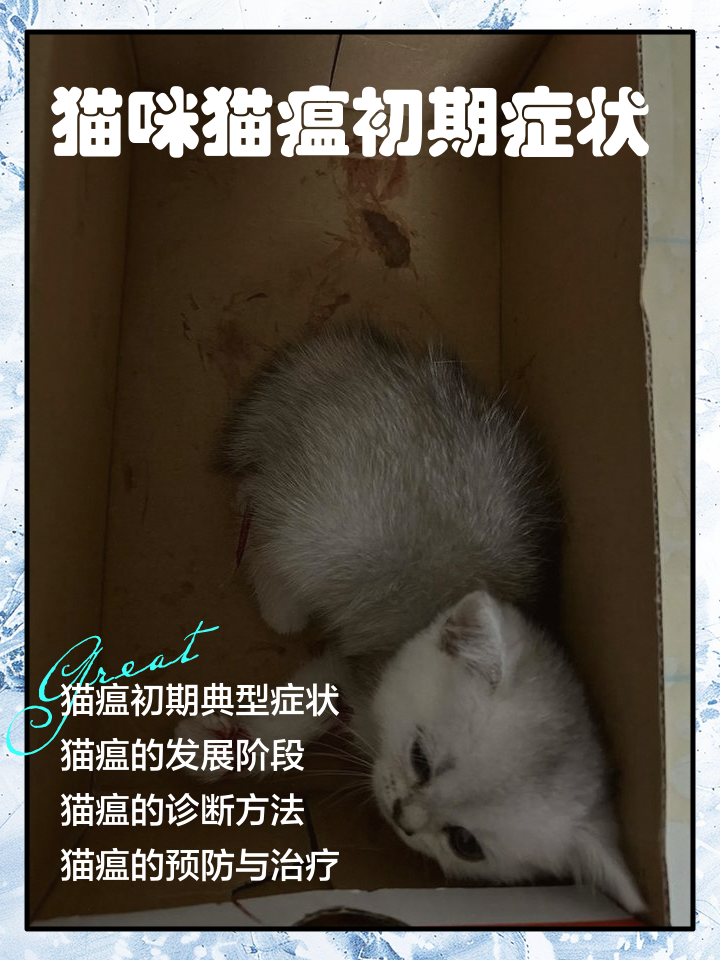 猫体温低就没救了吗(猫体温低会造成什么后果) 猫体温低就没救了吗(猫体温低会造成什么后果)