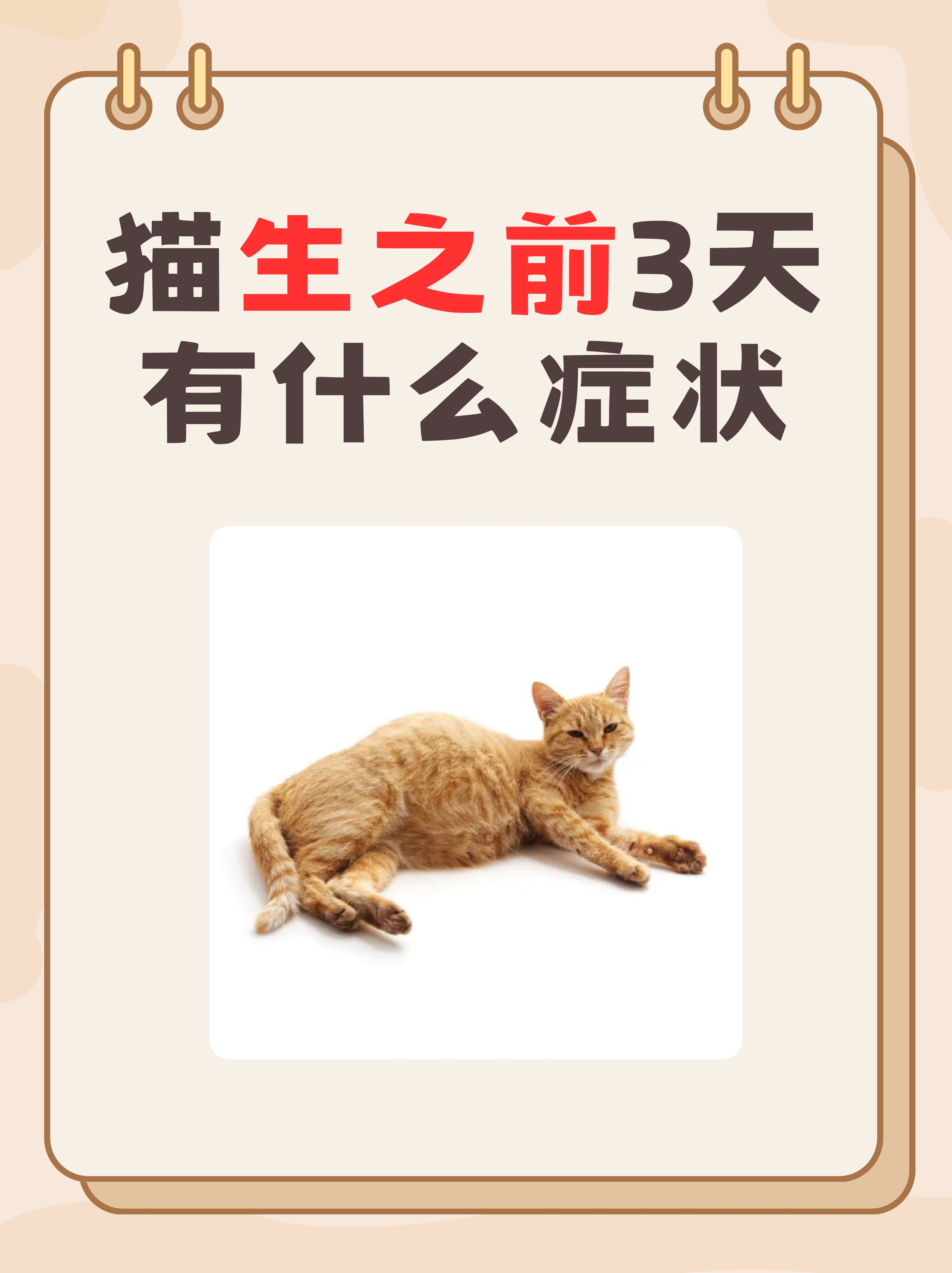 猫体温低就没救了吗(猫体温低会造成什么后果) 猫体温低就没救了吗(猫体温低会造成什么后果)