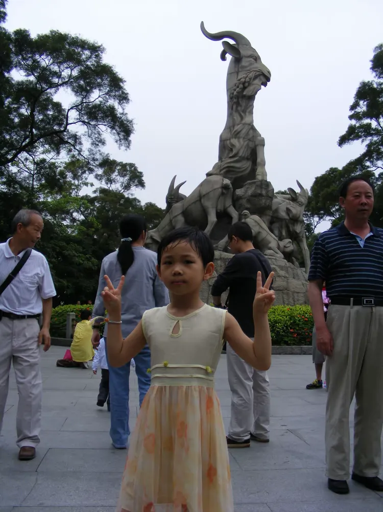 二九年华(二九年华风华茂是什么生肖)