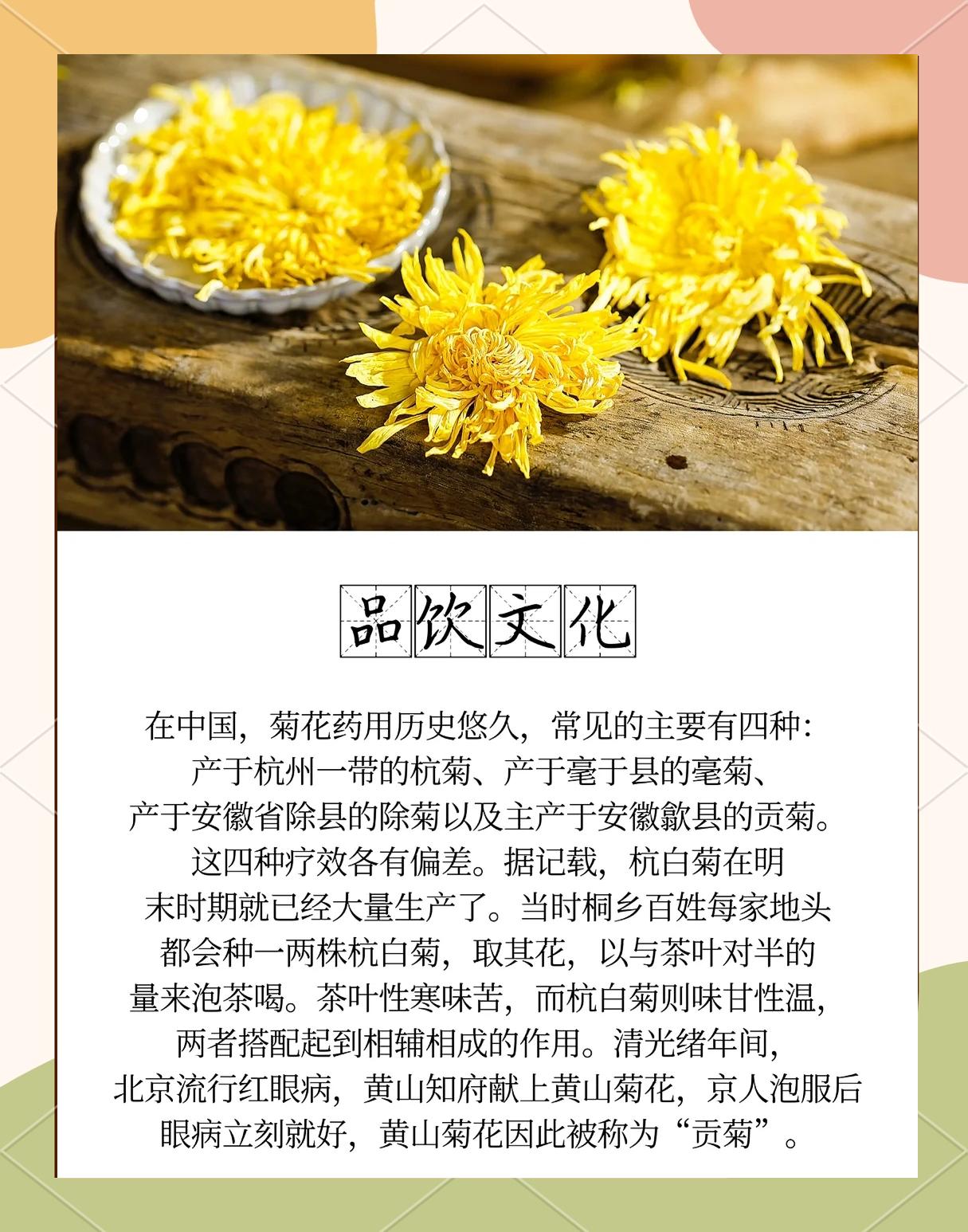 新疆雪菊花茶的功效与作用(新疆雪菊的功效与作用及禁忌) 新疆雪菊花茶的功效与作用(新疆雪菊的功效与作用及禁忌)