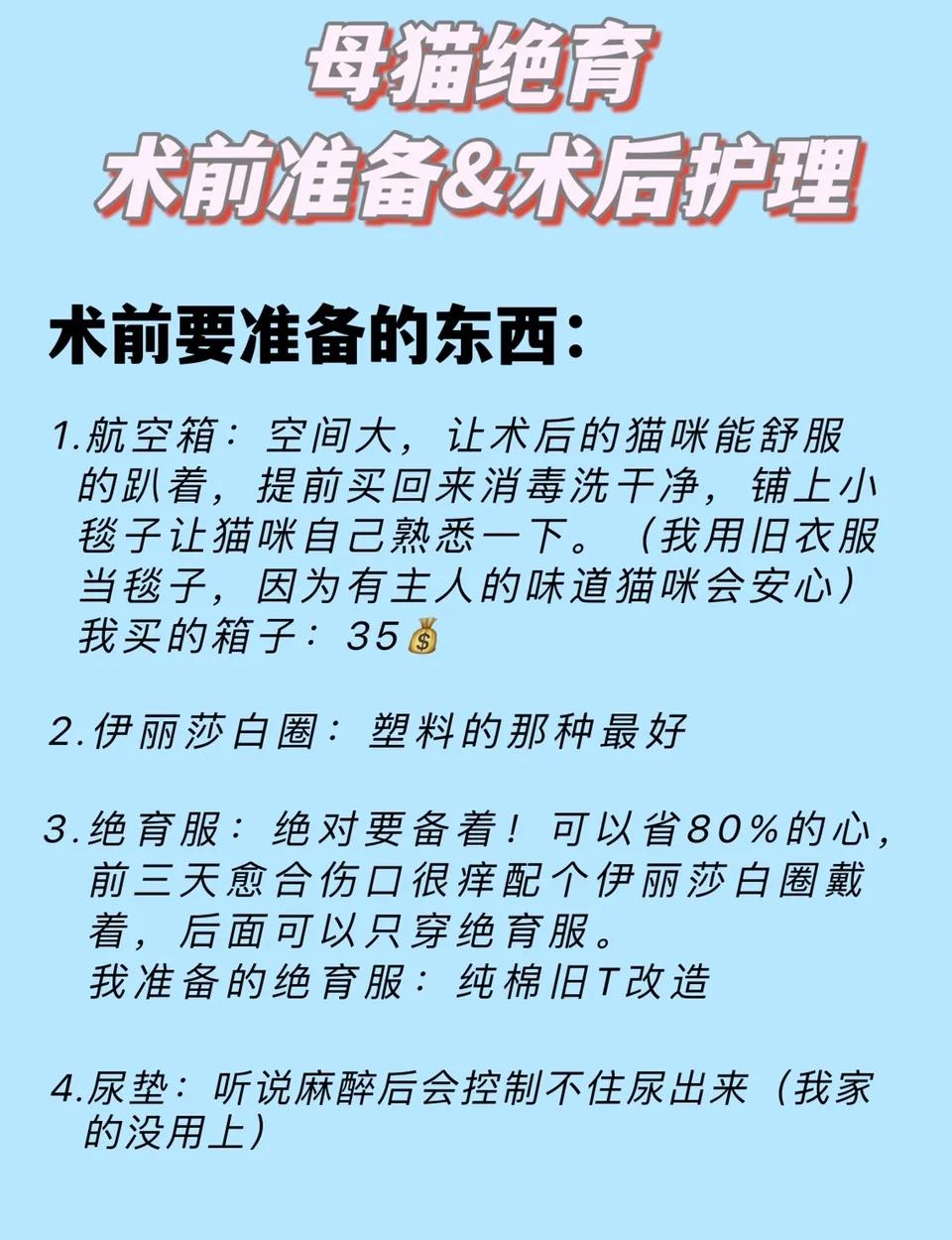 母猫绝育后几天危险期(母猫绝育后多久度过危险期) 母猫绝育后几天危险期(母猫绝育后多久度过危险期)