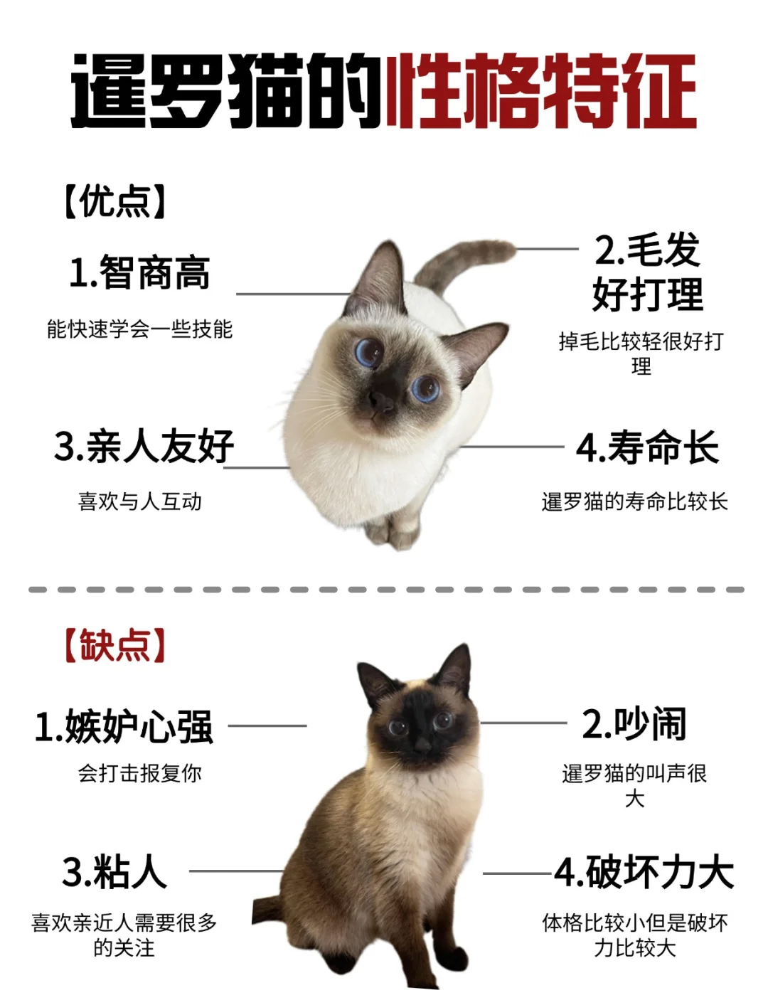 猫的性格特点(猫的性格特点有哪些) 猫的性格特点(猫的性格特点有哪些)