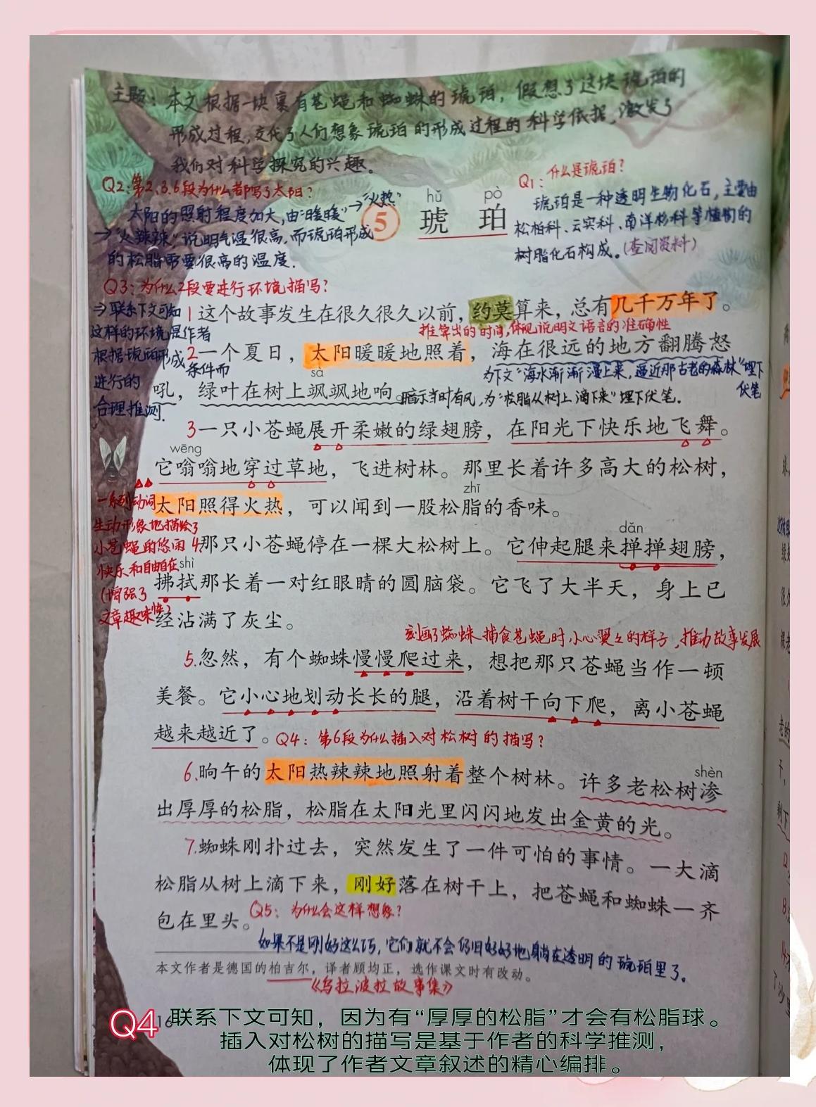 琥珀的课后题答案(琥珀的课后题答案是什么)