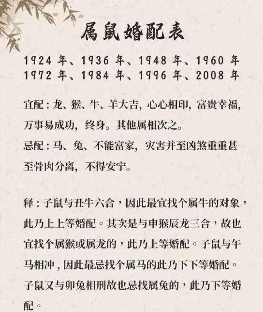 鼠和狗的属相适合做夫妻吗(鼠和狗的属相适合做夫妻吗好吗) 鼠和狗的属相适合做夫妻吗(鼠和狗的属相适合做夫妻吗好吗)
