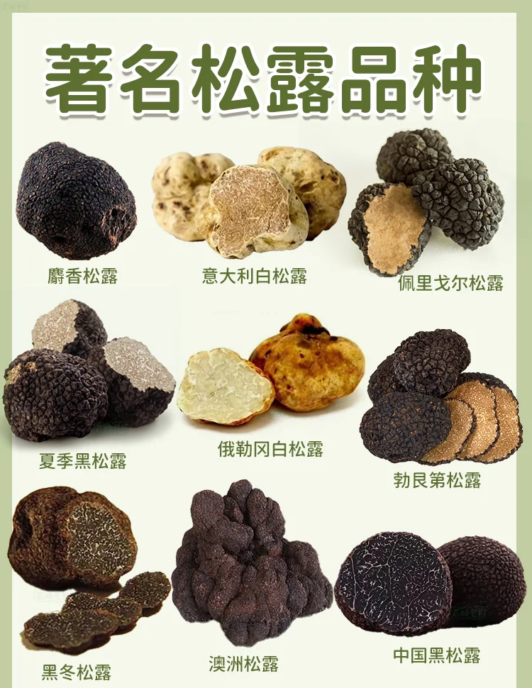 松萝的功效与作用(松萝的功效与作用及食用方法) 松萝的功效与作用(松萝的功效与作用及食用方法)