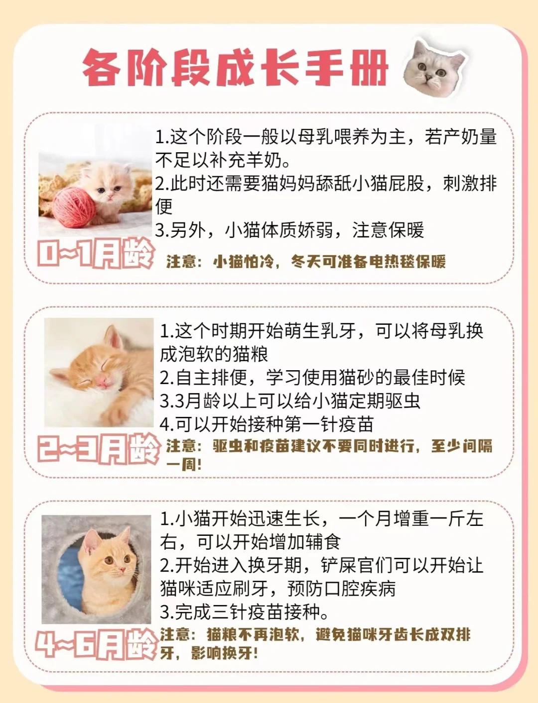 幼猫猫粮吃到几个月(幼猫猫粮吃到几个月换成猫猫粮) 幼猫猫粮吃到几个月(幼猫猫粮吃到几个月换成猫猫粮)