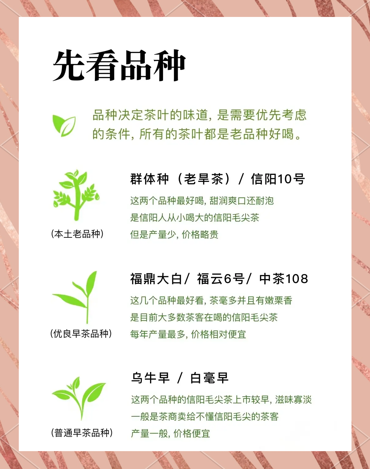 女性喝毛尖有什么坏处(女生喝毛尖茶有助于减肥吗)