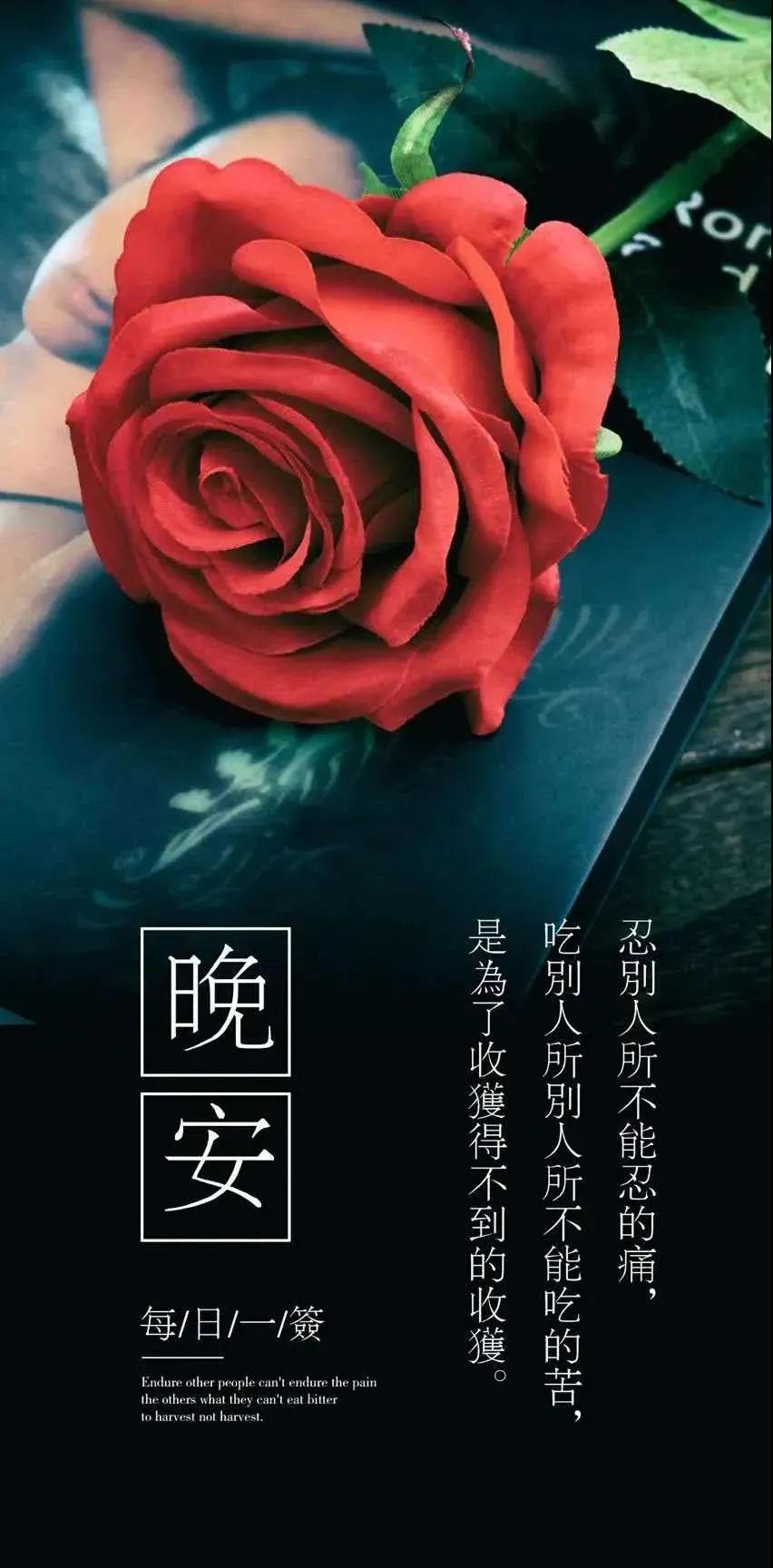 睡前发的句子朋友圈(睡前发个朋友圈一句话)