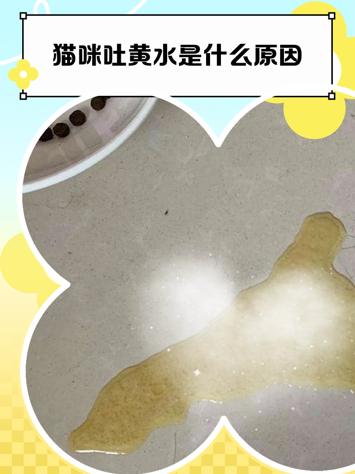 小奶猫拉稀拉黄水怎么办(小奶猫拉稀拉黄水怎么办吃什么药) 小奶猫拉稀拉黄水怎么办(小奶猫拉稀拉黄水怎么办吃什么药)
