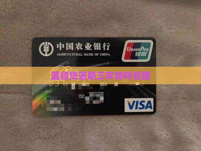 蓝领贷1000逾期4年怎么办的简单介绍