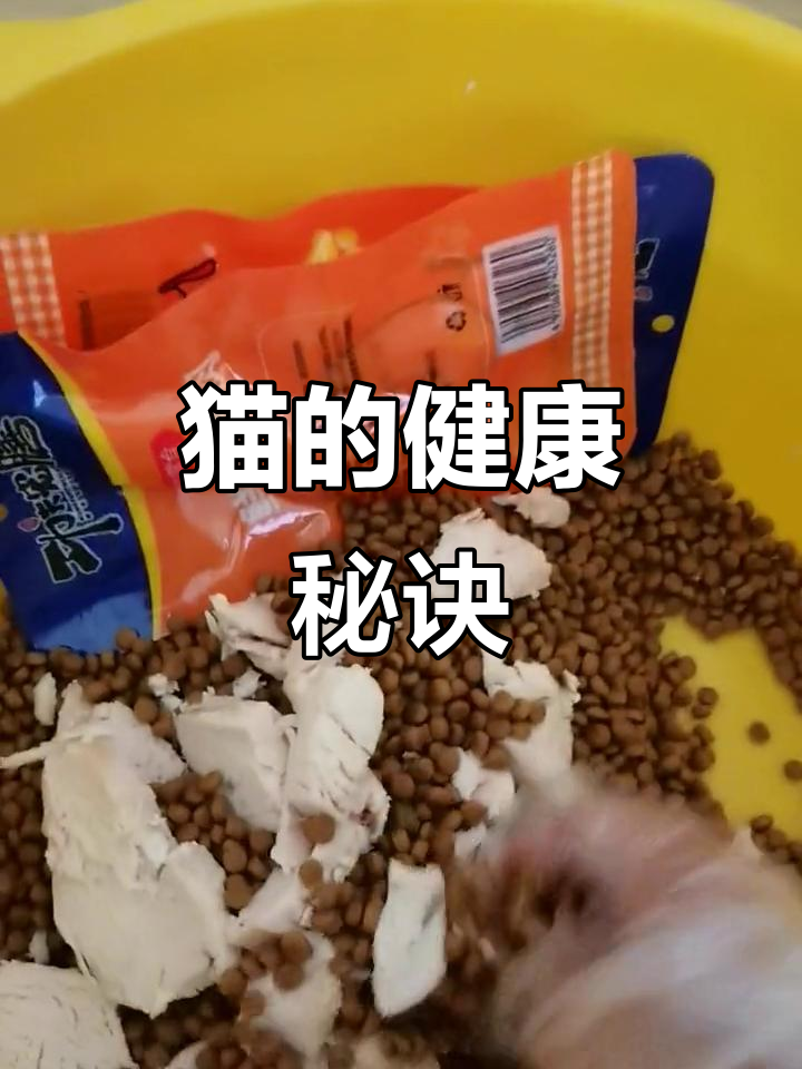 小猫一周吃几次鸡胸肉(小猫一周吃几次鸡胸肉合适) 小猫一周吃几次鸡胸肉(小猫一周吃几次鸡胸肉合适)