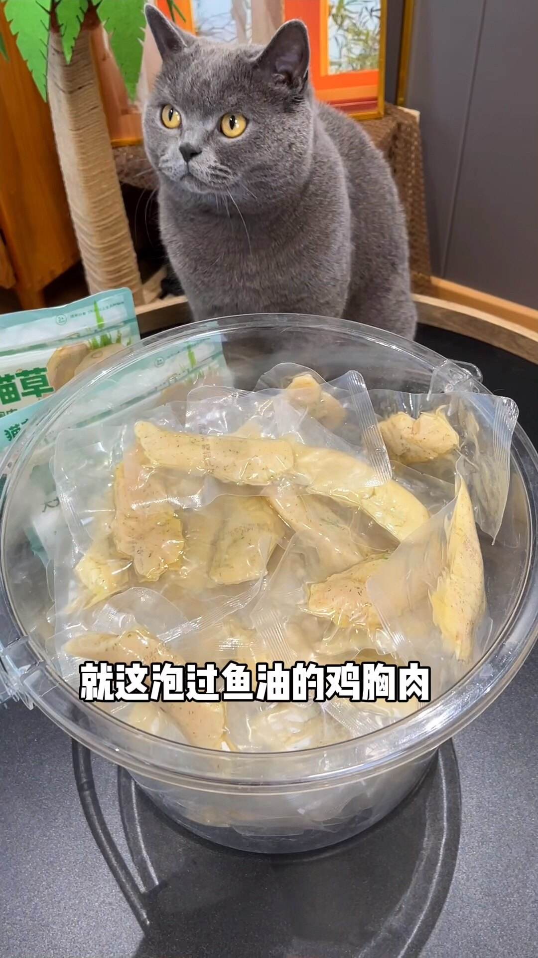 小猫一周吃几次鸡胸肉(小猫一周吃几次鸡胸肉合适) 小猫一周吃几次鸡胸肉(小猫一周吃几次鸡胸肉合适)