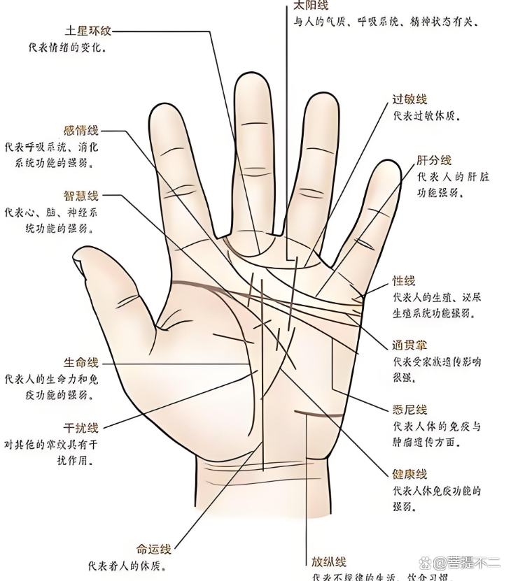 无名指下面的竖线代表什么(右手无名指下面的竖线代表什么) 无名指下面的竖线代表什么(右手无名指下面的竖线代表什么)