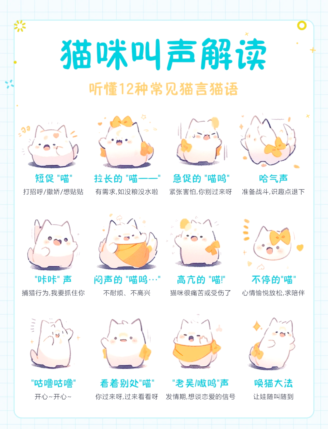 猫咪早上5点多一直叫怎么办(猫咪早上五点开始一直叫是什么原因) 猫咪早上5点多一直叫怎么办(猫咪早上五点开始一直叫是什么原因)